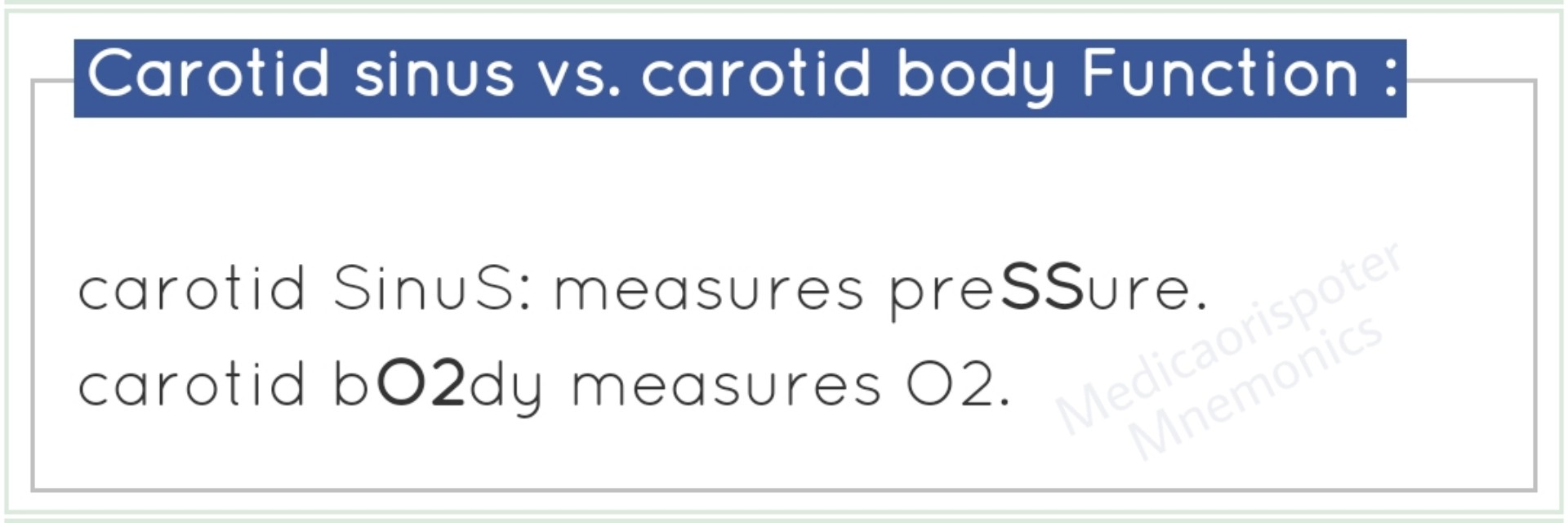 preview of Carotid Sinus Vs Carotid Body Functions.jpg